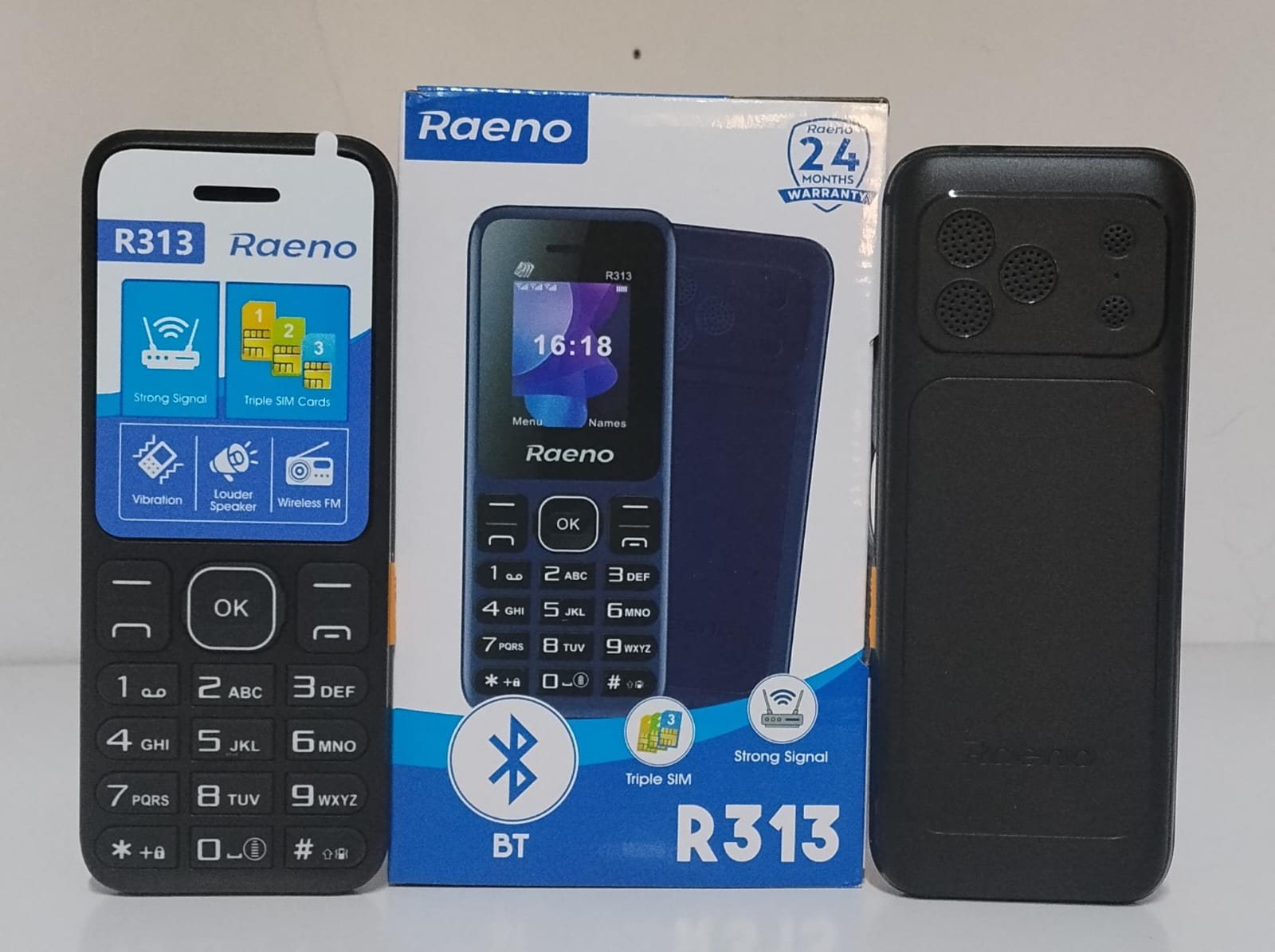 Raeno R313