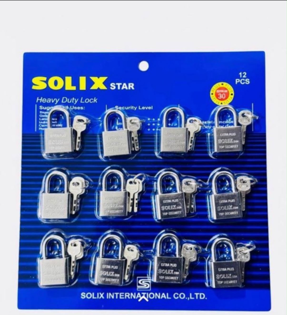 Solix Padlocks - 12-Pack (Same Size)